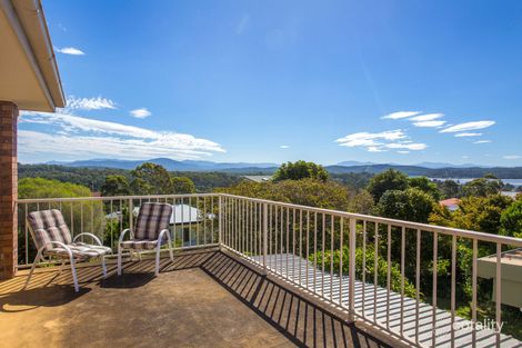 Property photo of 26 Ridge Street Catalina NSW 2536