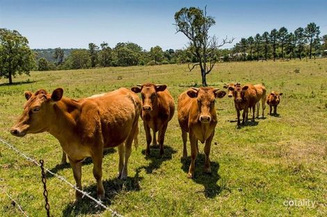 Property photo of 35 Recreation Reserve Road Highfields QLD 4352