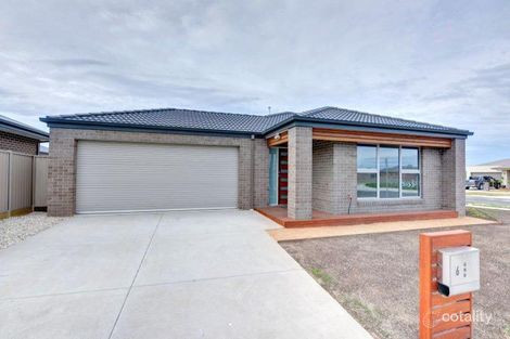 6 Royal York Rd, Winter Valley, VIC 3358
