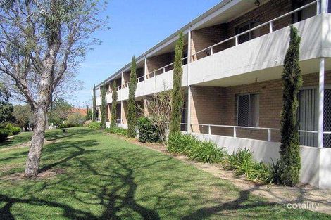 3/143 Edinboro St, Joondanna, WA 6060