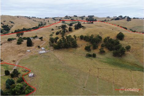 100 Reidy And Stevensons Rd, Mount Eccles, VIC 3953
