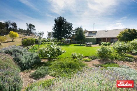 Property photo of 113 McCarthy Road Wallaroo NSW 2618