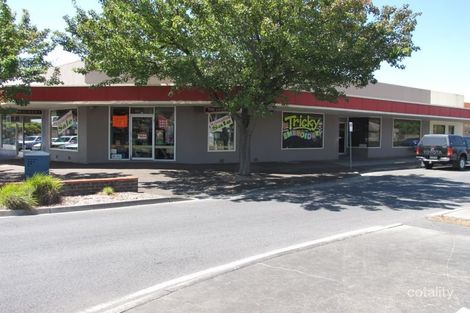 21 Fowler St, Moe, VIC 3825