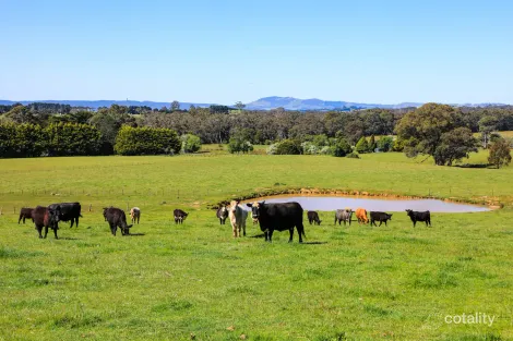 Property photo of 154 Straws Lane Hesket VIC 3442