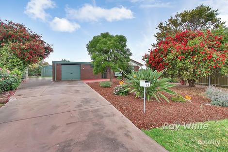 25 Rose Cres, Modbury North, SA 5092