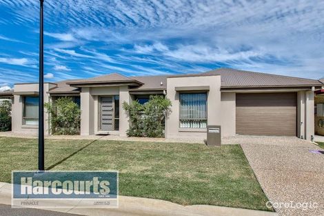 Property photo of 42 Hinchinbrook Avenue Fitzgibbon QLD 4018