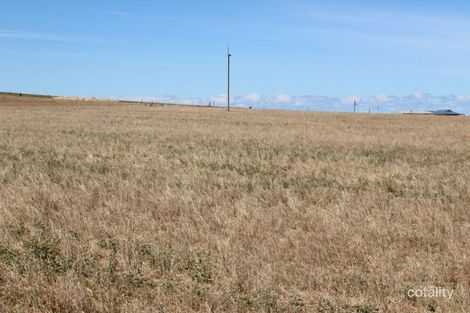 Property photo of 46 Church Road Lipson SA 5607