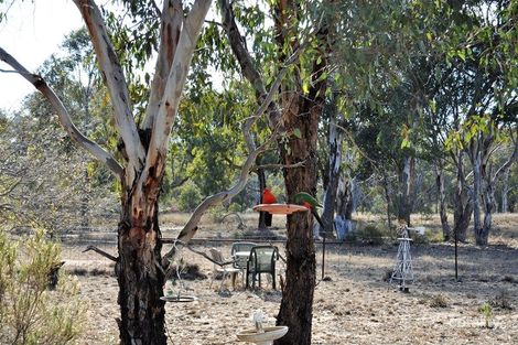 384 Blue Springs Rd, Stubbo, NSW 2852