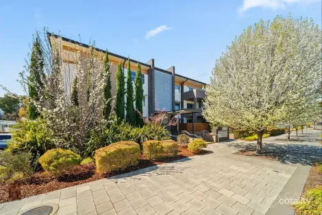 35/121 Easty St, Phillip, ACT 2606