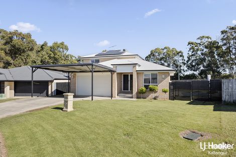 Property photo of 6 Gatsby Court Kallangur QLD 4503