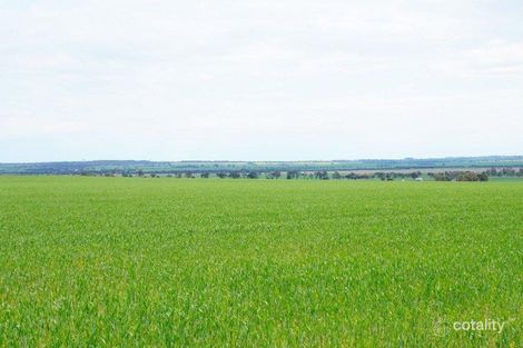 169 Muntadgin Rd, Muntadgin, WA 6420