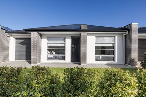 Property photo of 24 Gilpipi Avenue Edwardstown SA 5039
