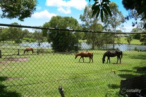 Property photo of 515 Guineas Creek Road Tallebudgera QLD 4228