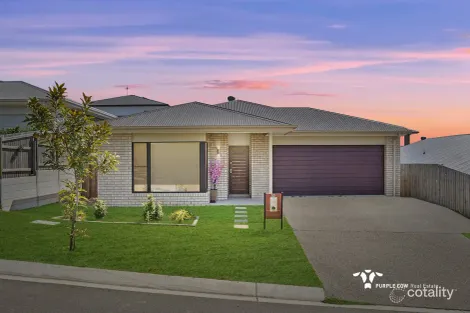 30 Abington St, Spring Mountain, QLD 4300