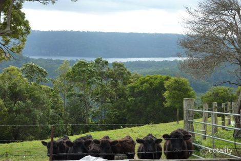 Property photo of 90 Rosella Road North Maleny QLD 4552