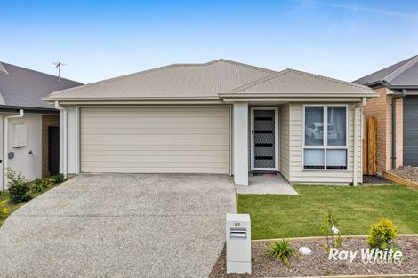 92 Marsdenia Dr, White Rock, QLD 4306