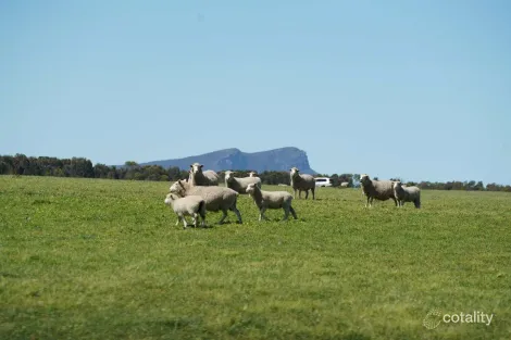 3078 Victoria Point Rd, Moutajup, VIC 3294