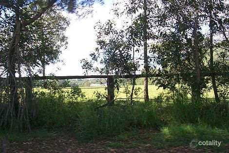 Property photo of 87 Wildsoet Street Burbank QLD 4156