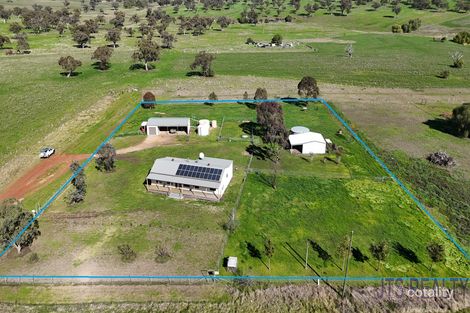 8849 Golden Hwy, Cassilis, NSW 2329
