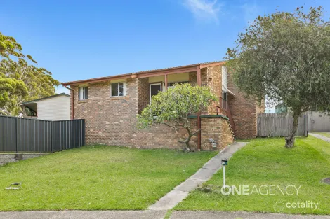 Property photo of 41 Clematis Crescent Barrack Heights NSW 2528