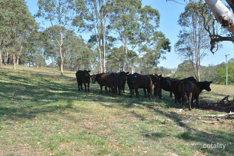 Property photo of 2486 Glendonbrook Road Gresford NSW 2311