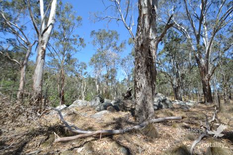 Property photo of 772 Rivertree Road Liston NSW 2372