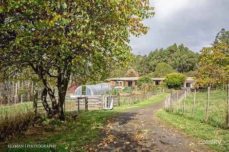 135 Maloneys Rd, Sunnyside, TAS 7305