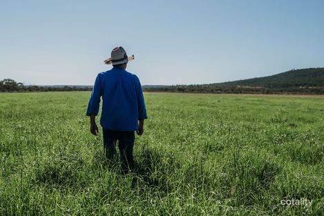 333 Expressman Rd, Dutton River, QLD 4821