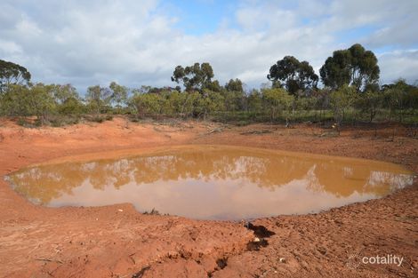 Property photo of 99 Smiths Road Bealiba VIC 3475