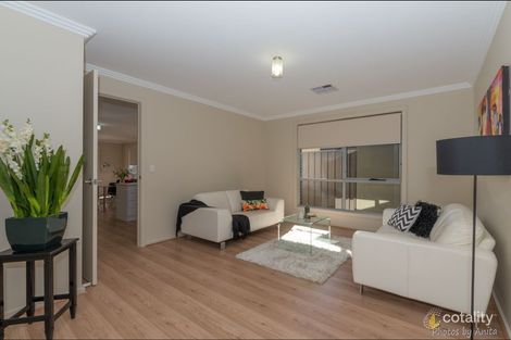 Property photo of 66 Rapid Avenue Lightsview SA 5085