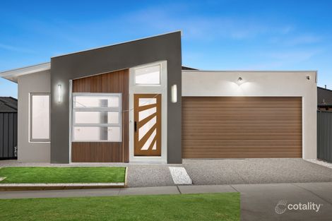 Property photo of 7 Argon Street Kalkallo VIC 3064