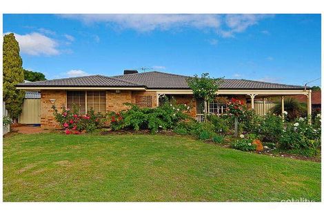12 Amy Loop, Craigie, WA 6025