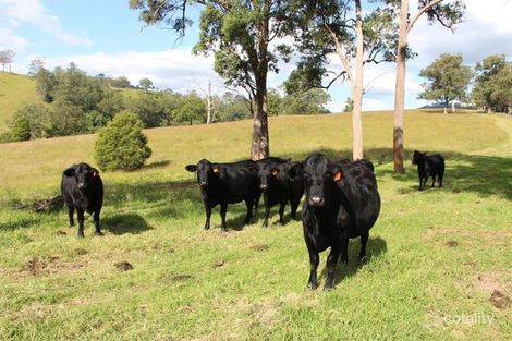 1408 Bundook Rd, Bulliac, NSW 2422