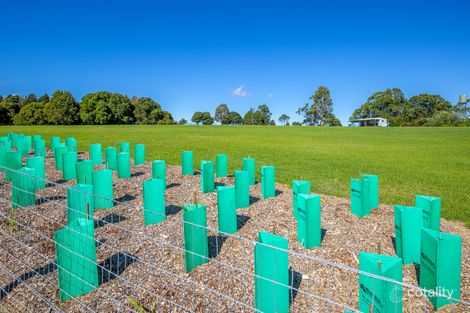 Property photo of 59 Wilson Road Tamborine Mountain QLD 4272