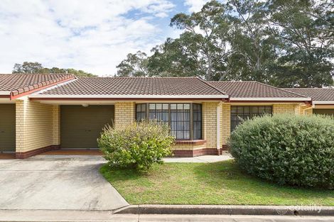 7/1233 North East Rd, Ridgehaven, SA 5097