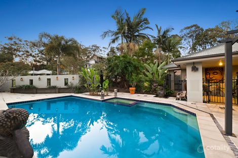 Property photo of 19 Merlot Court Buderim QLD 4556