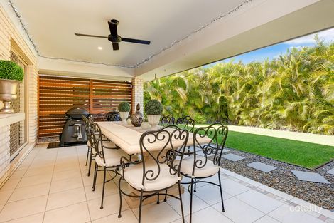 Property photo of 6 Red Jacket Court Palmwoods QLD 4555
