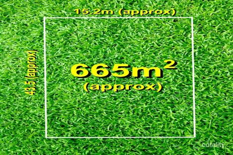 11 Dangerfield Dr, Springvale South, VIC 3172