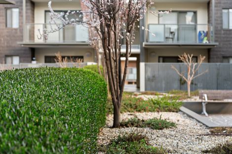 Property photo of 35/82 Henry Kendall Street Franklin ACT 2913