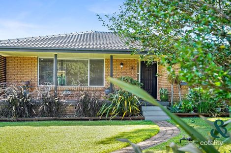 Property photo of 17 Maple Close Medowie NSW 2318