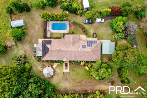 Property photo of 9 Harvest View Place Fairy Hill NSW 2470