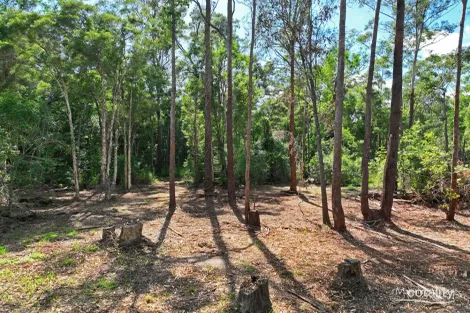 Property photo of 11 Innes Lane Melinga NSW 2430