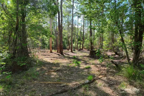 Property photo of 11 Innes Lane Melinga NSW 2430