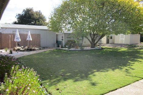 Property photo of 53 Borrow Street Freeling SA 5372