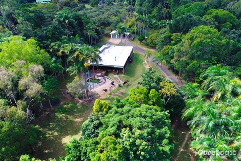 Property photo of 63 Mason Road Kuranda QLD 4881