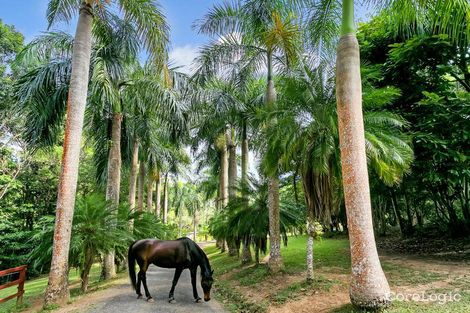 Property photo of 63 Mason Road Kuranda QLD 4881