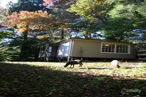 Property photo of 14 Upton Road Emerald VIC 3782