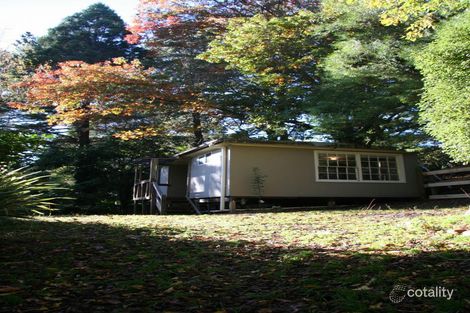 Property photo of 14 Upton Road Emerald VIC 3782