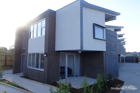 1/4 Ficinia Mews, Highton, VIC 3216