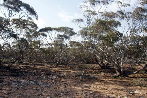 155 Claypans Rd, Copeville, SA 5308